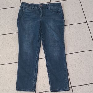 Democracy Deep Indigo Cropped Jeans